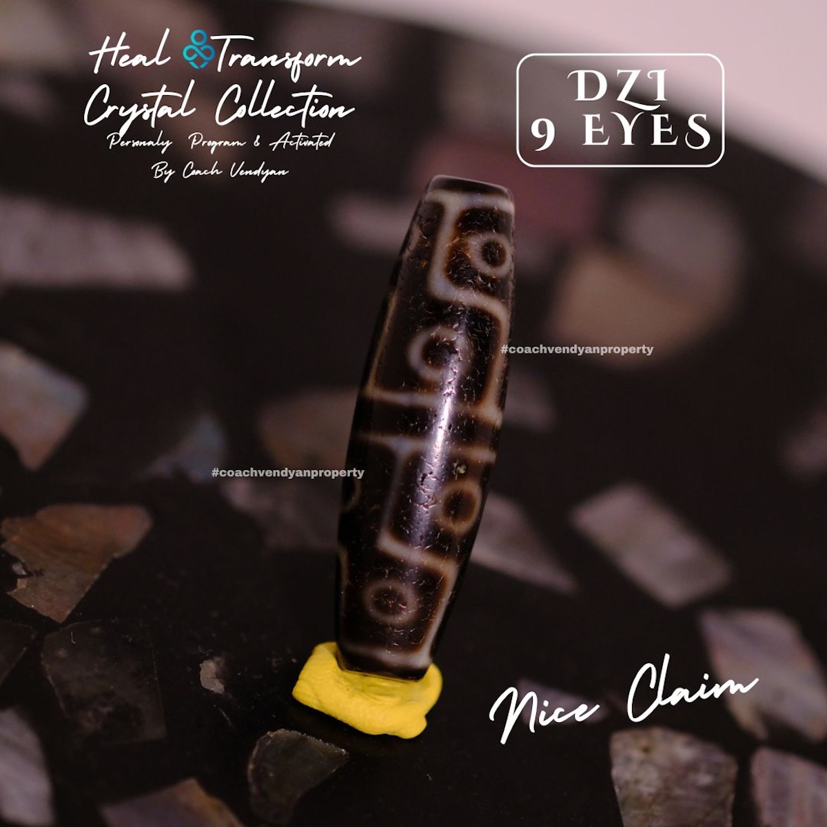 DZI 9 MATA - Gambar 5