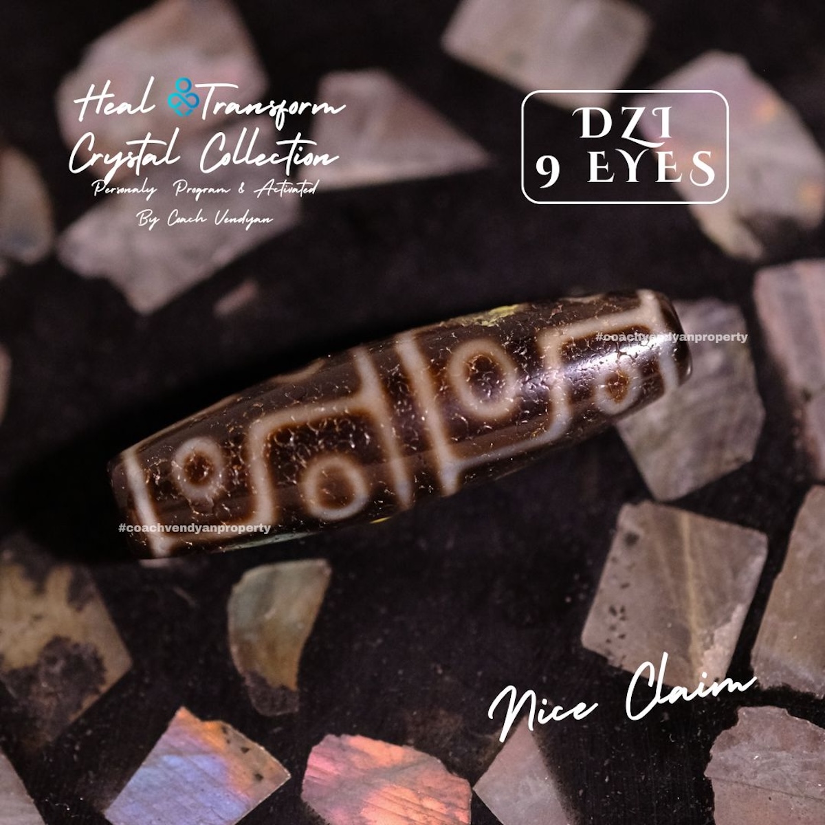 DZI 9 MATA - Gambar 3