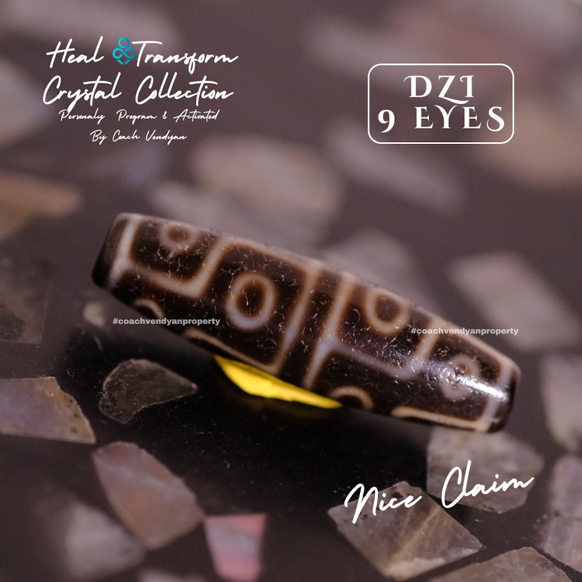 DZI 9 MATA - Gambar 2