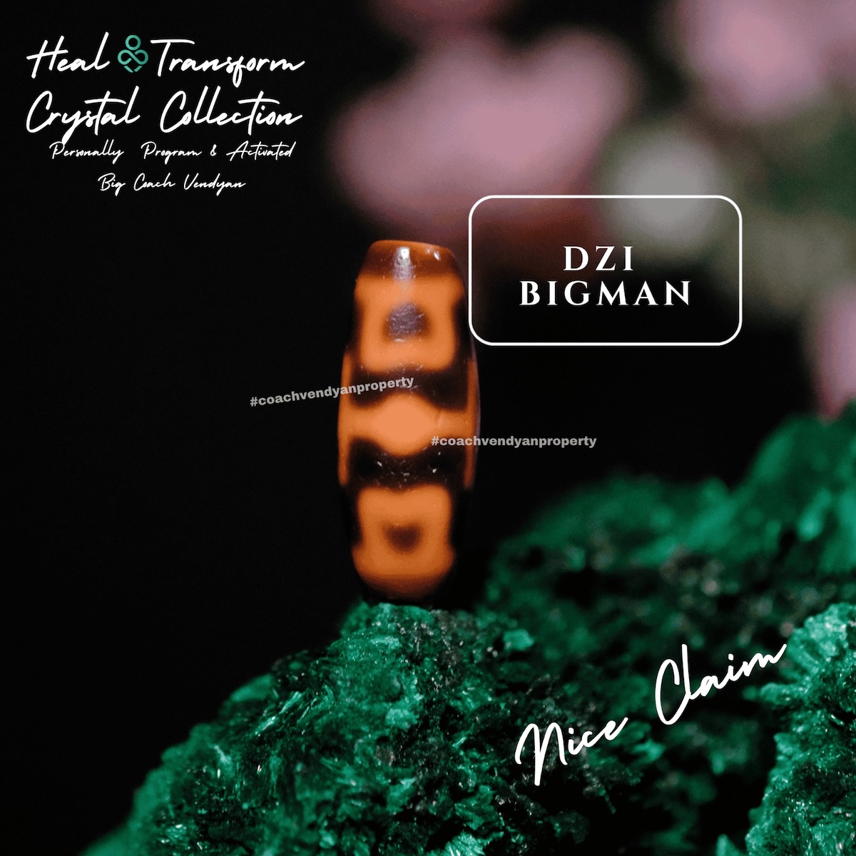 DZI BIGMAN (TAI YAN) - Gambar 2