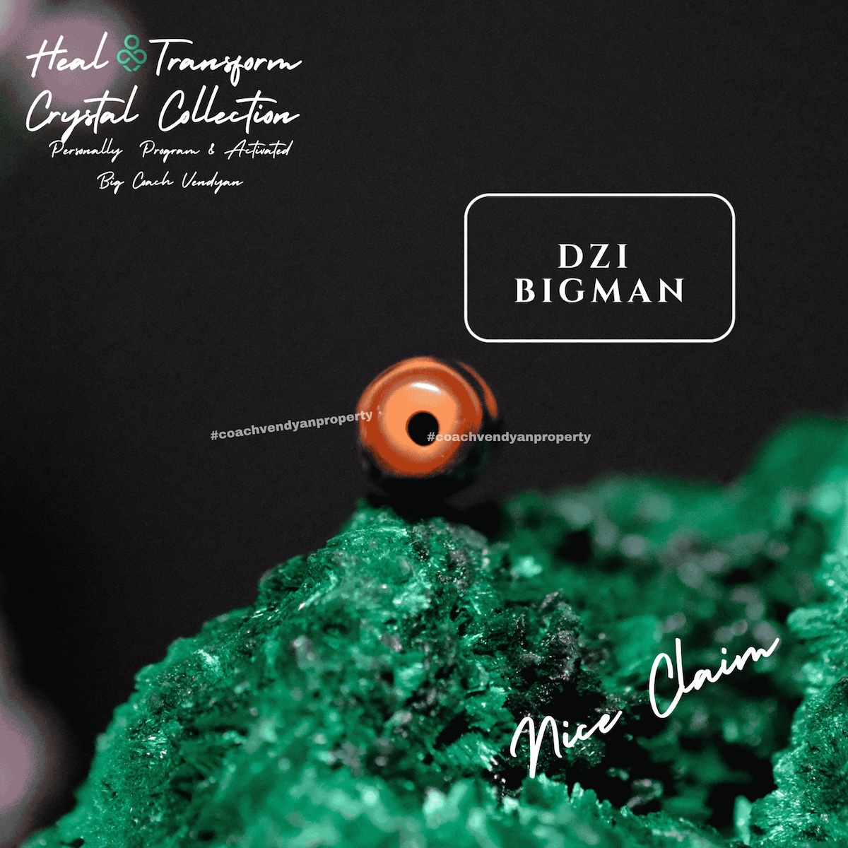 DZI BIGMAN (TAI YAN) - Gambar 4