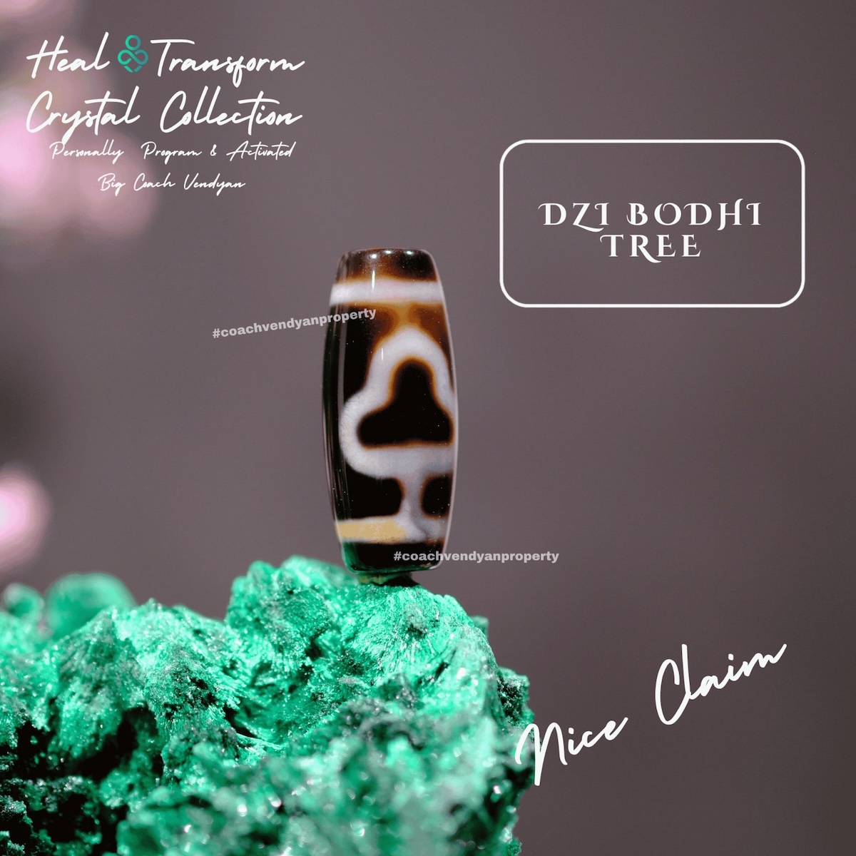 DZI BODHI TREE - Gambar 3
