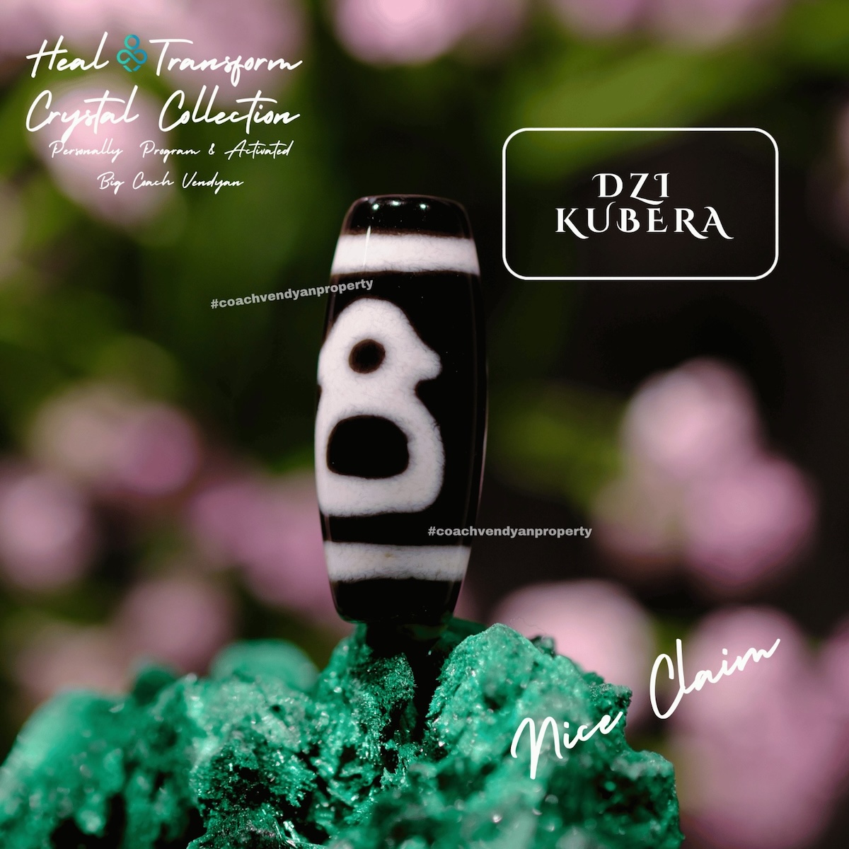 DZI KUBERA - Gambar 2
