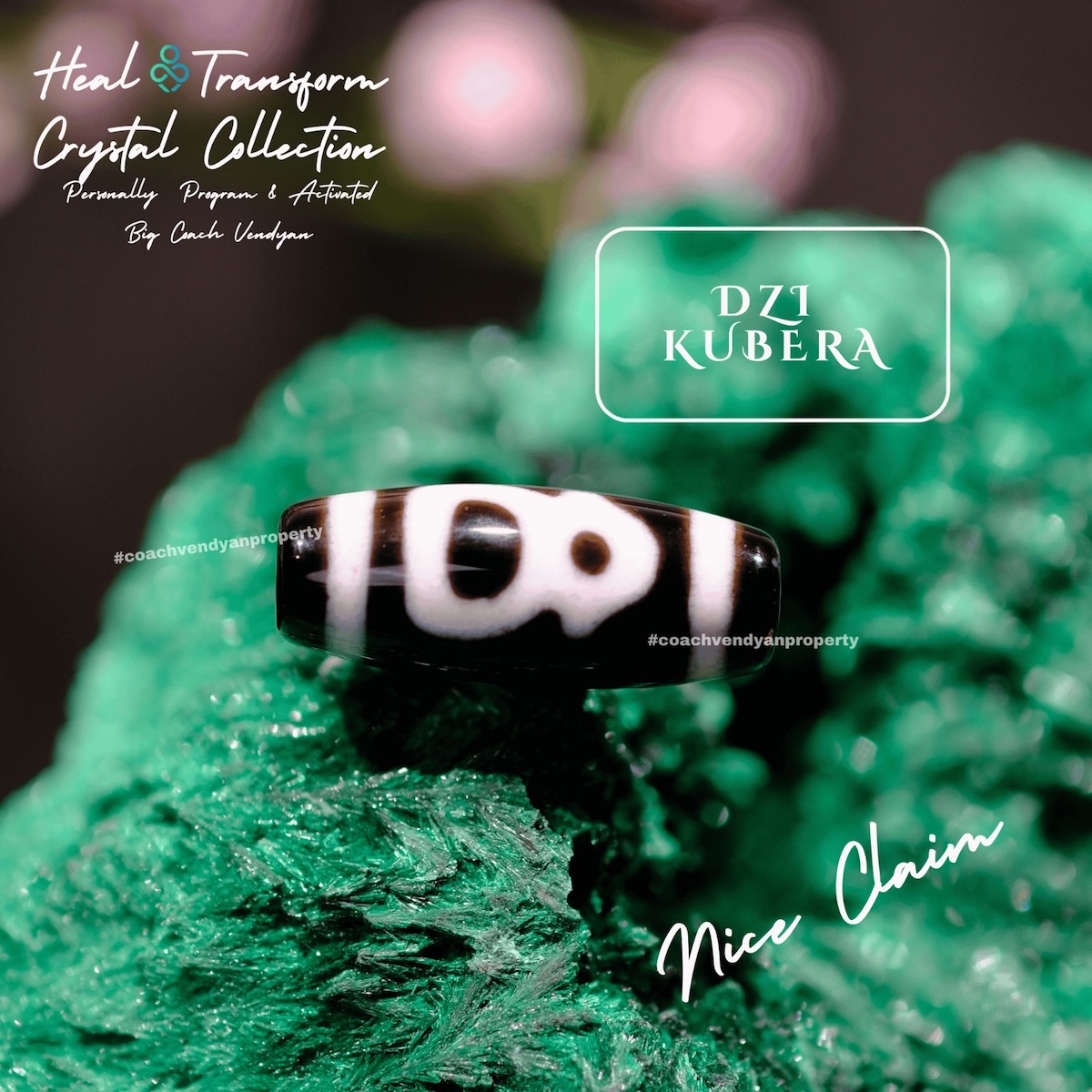 DZI KUBERA - Gambar 4