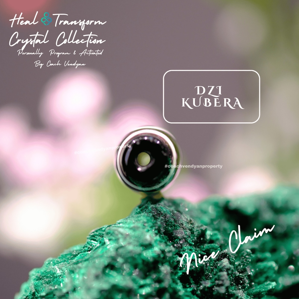 DZI KUBERA - Gambar 3
