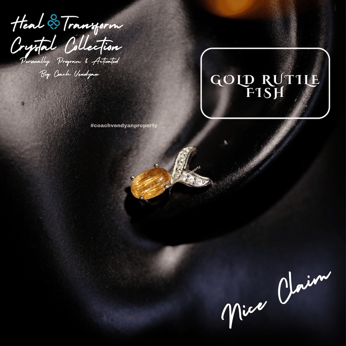GOLD RUTILE FISH - Gambar 5