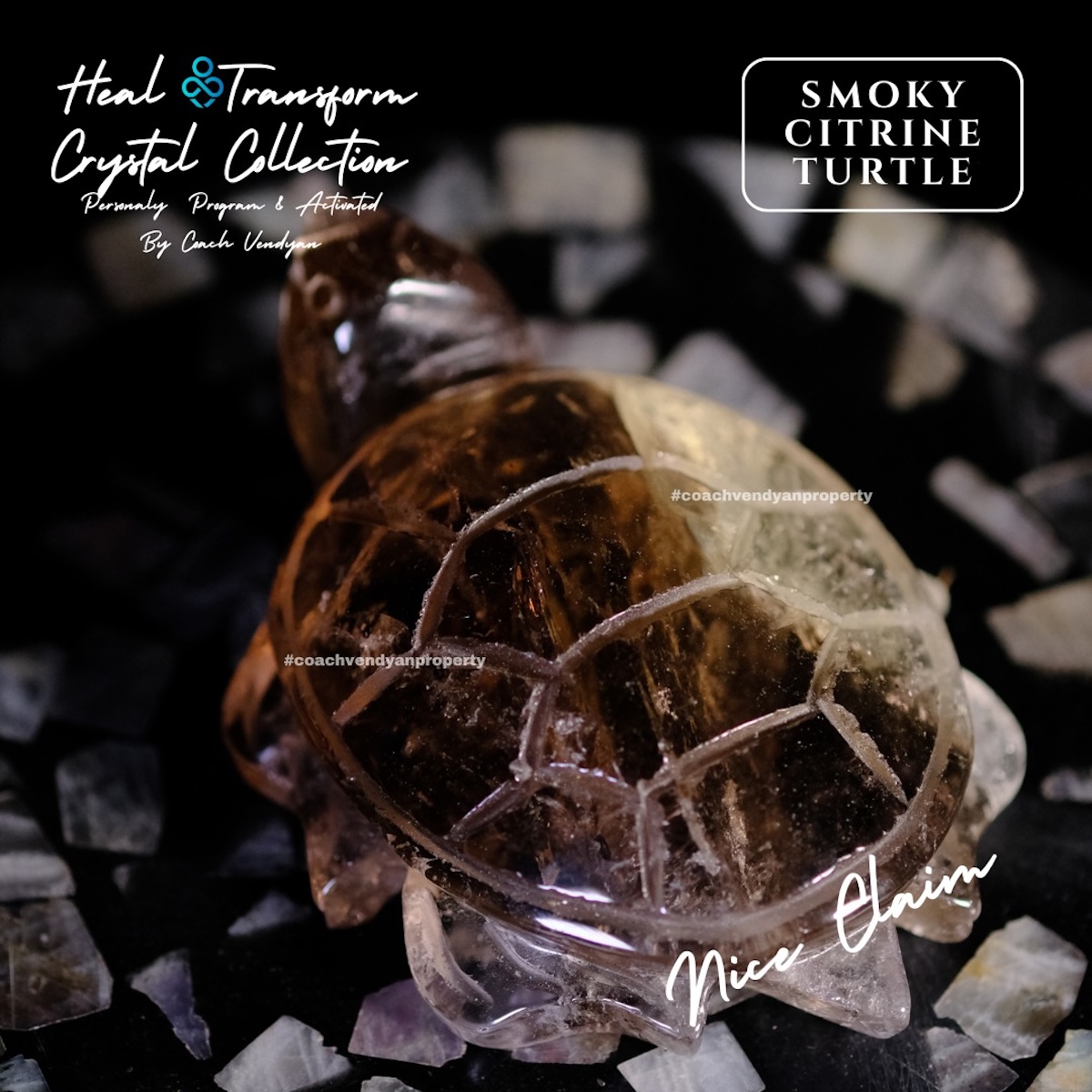 TURTLE SMOKY CITRINE - Gambar 2