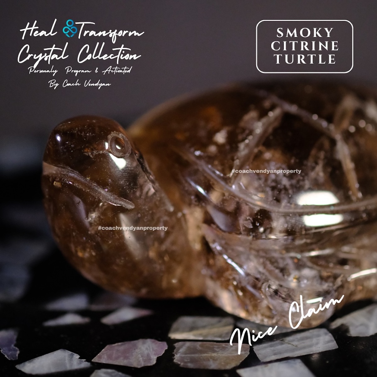 TURTLE SMOKY CITRINE - Gambar 11