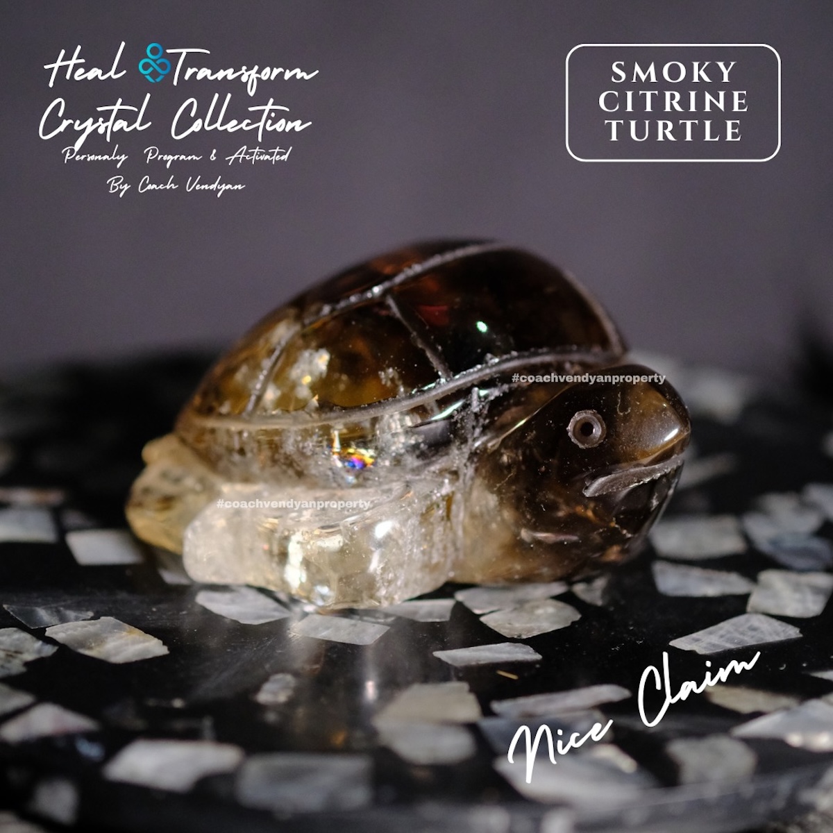TURTLE SMOKY CITRINE - Gambar 10