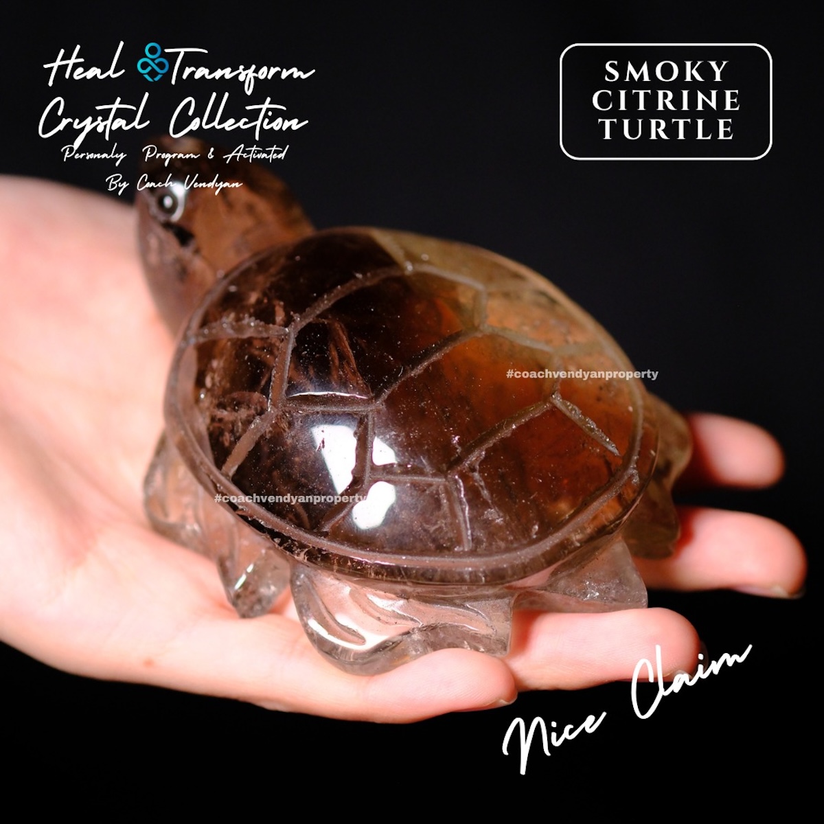 TURTLE SMOKY CITRINE - Gambar 9