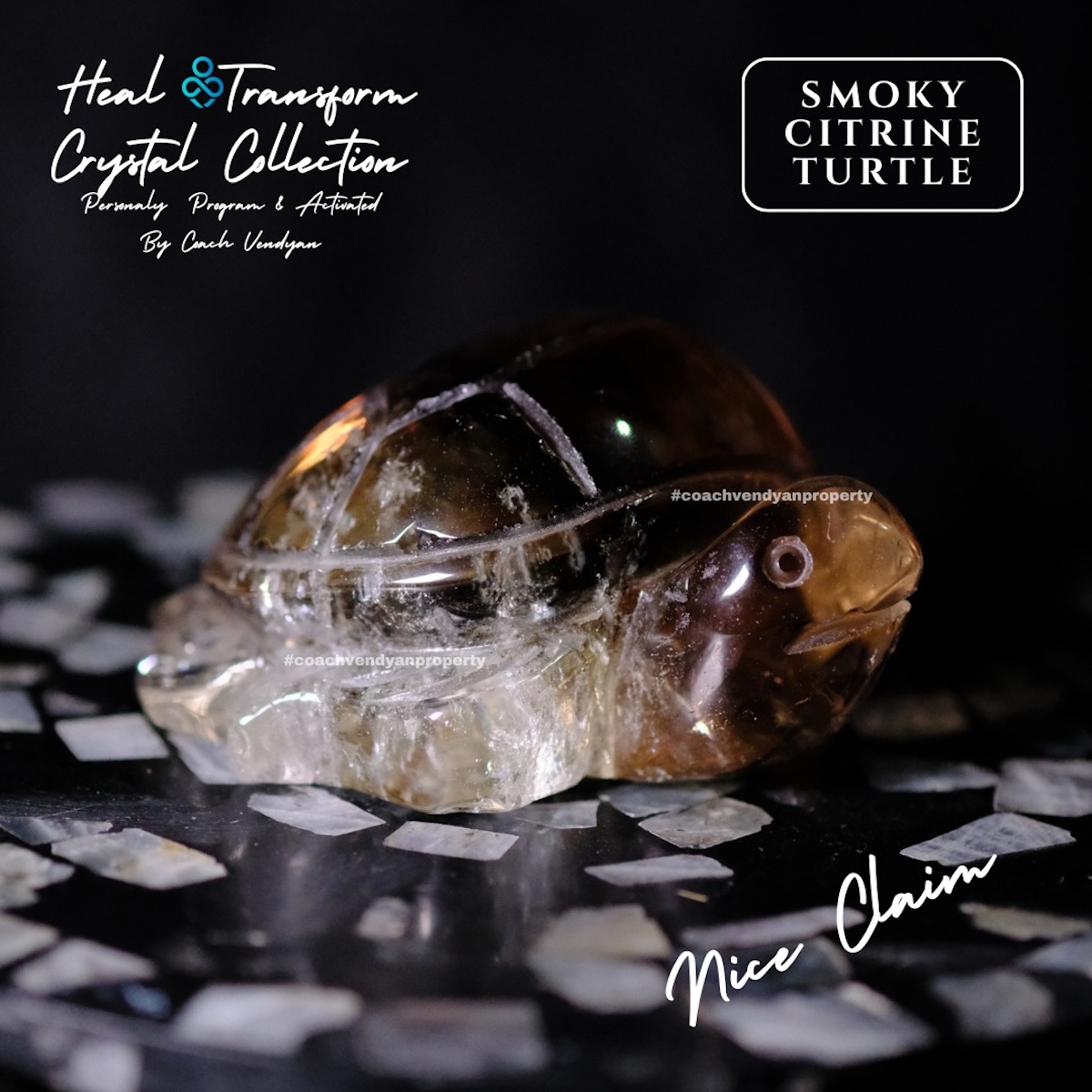 TURTLE SMOKY CITRINE - Gambar 8