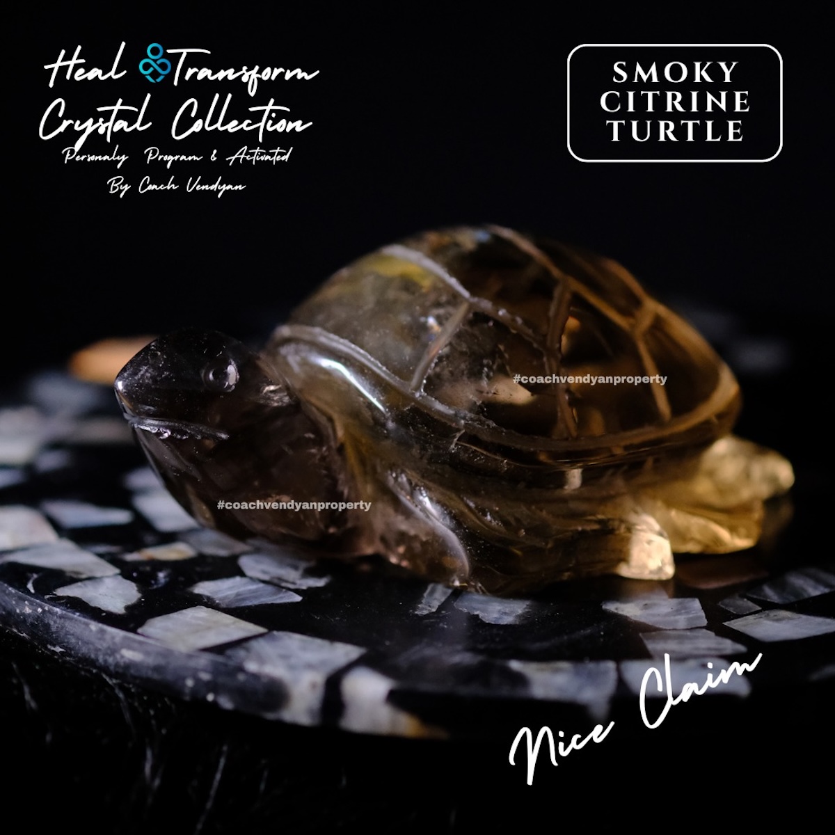 TURTLE SMOKY CITRINE - Gambar 7