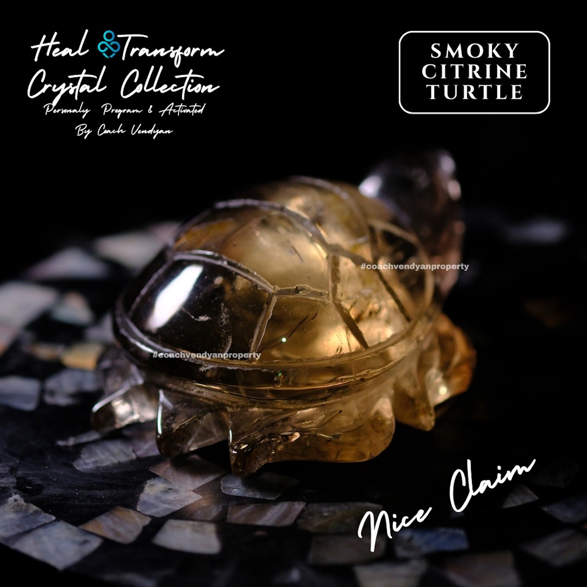 TURTLE SMOKY CITRINE - Gambar 6