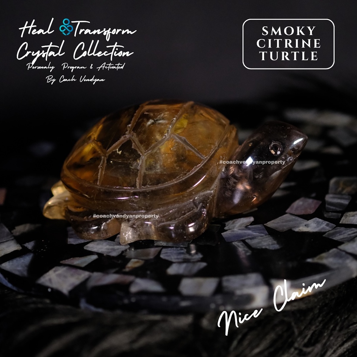 TURTLE SMOKY CITRINE - Gambar 5