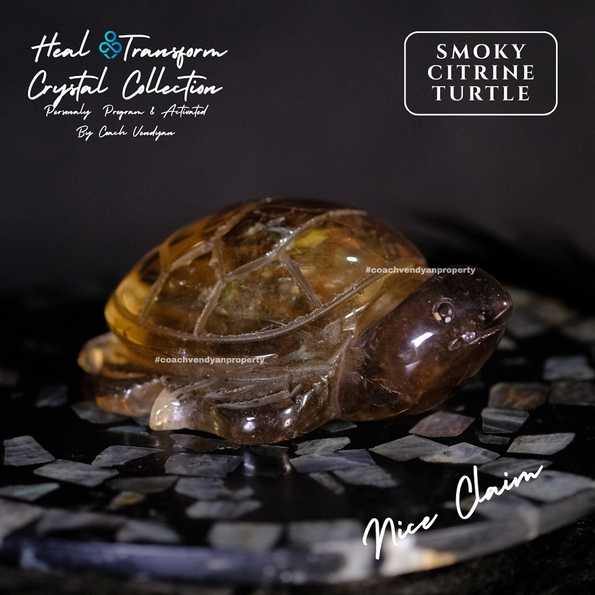 TURTLE SMOKY CITRINE - Gambar 4
