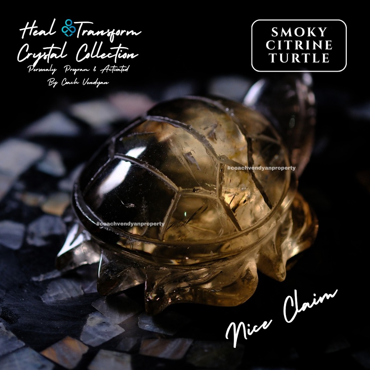 TURTLE SMOKY CITRINE - Gambar 3