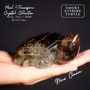 TURTLE SMOKY CITRINE