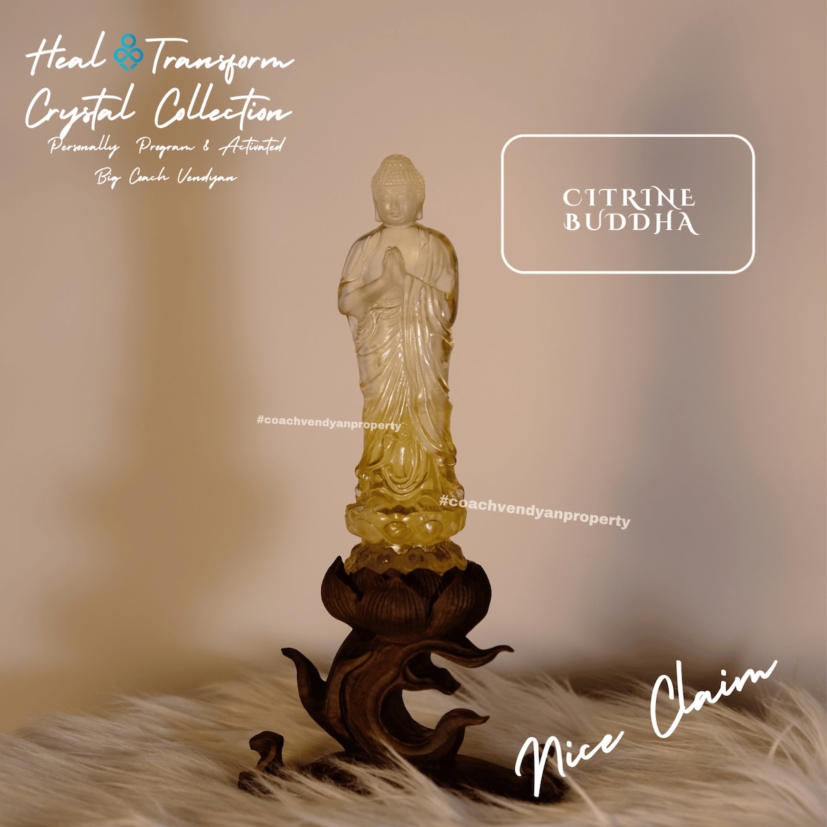 CITRINE BUDDHA - Gambar 5