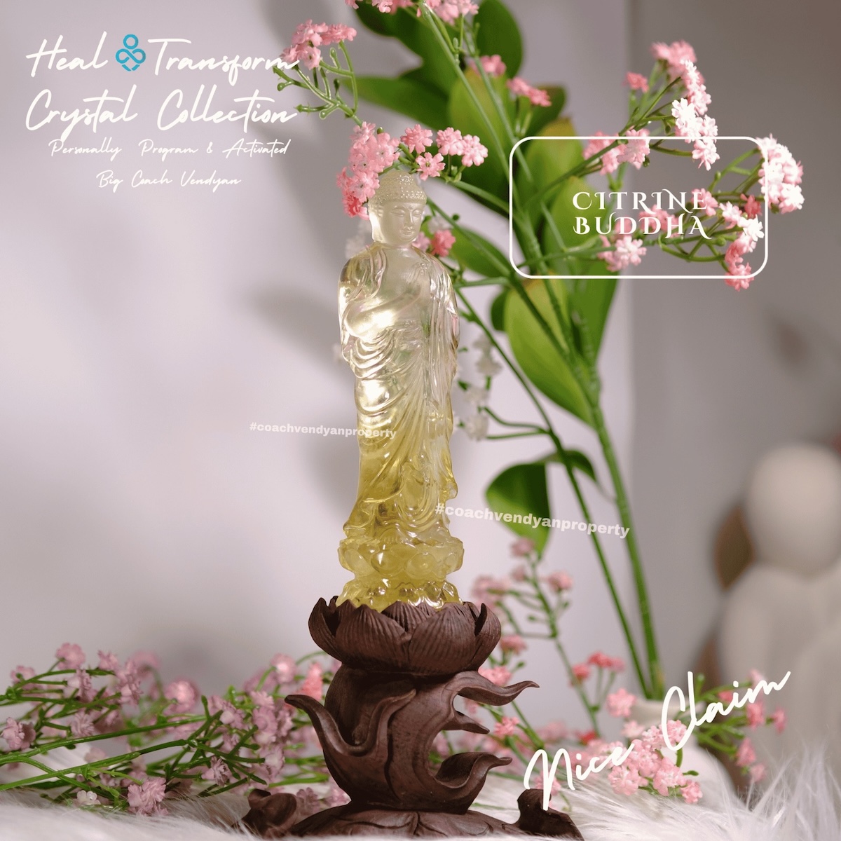 CITRINE BUDDHA - Gambar 4