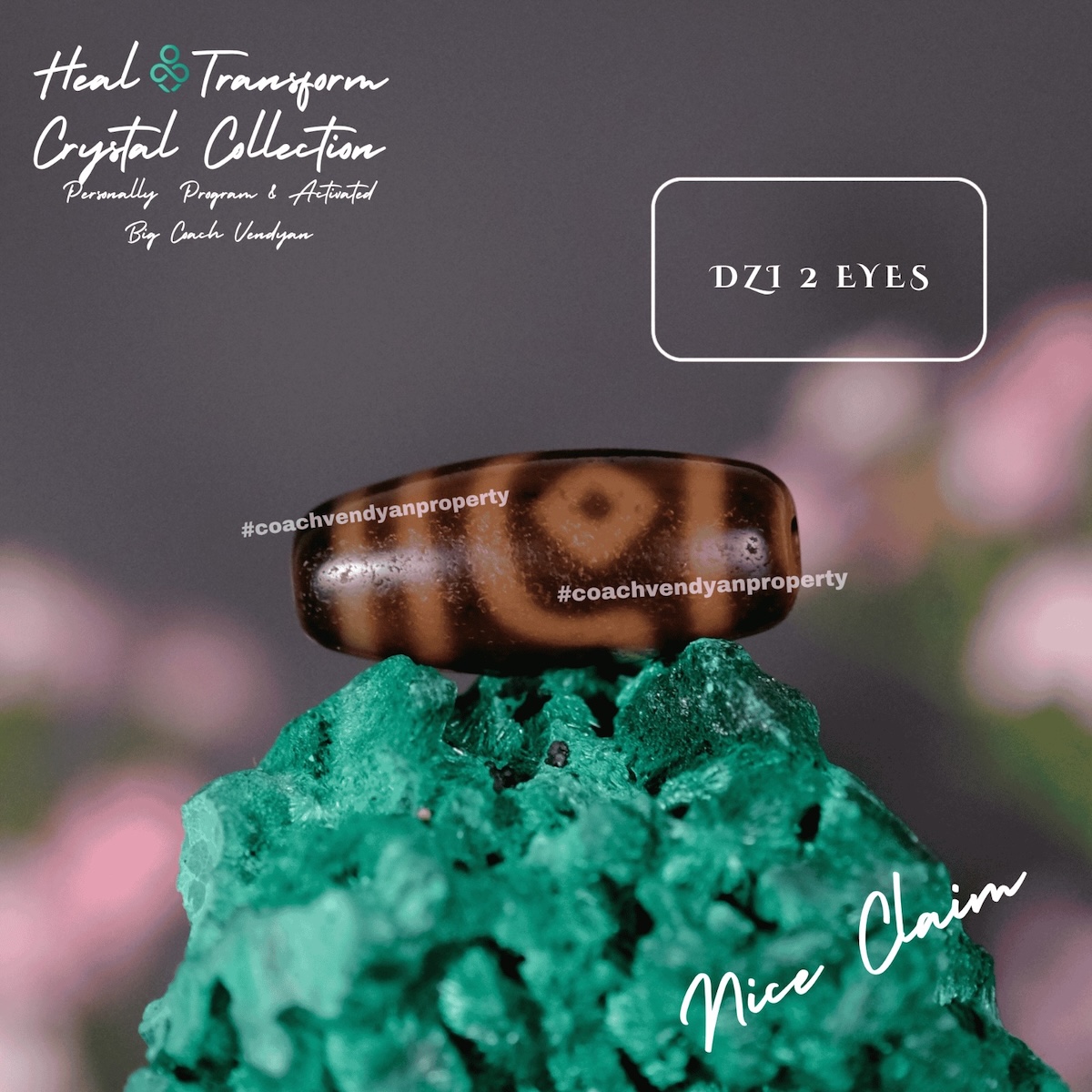 DZI 2 MATA - Gambar 2