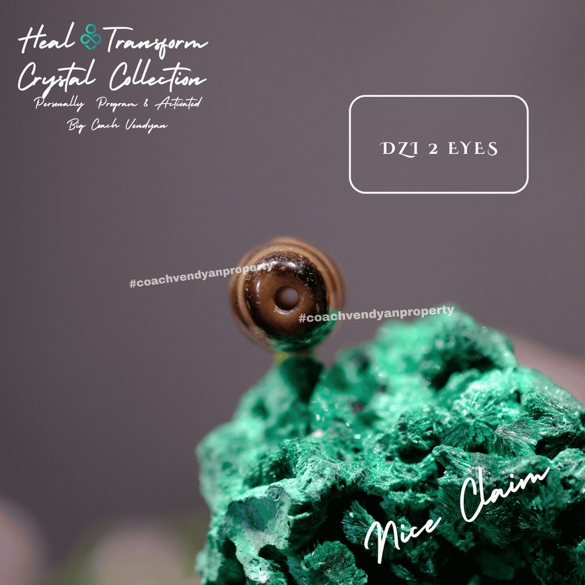 DZI 2 MATA - Gambar 4