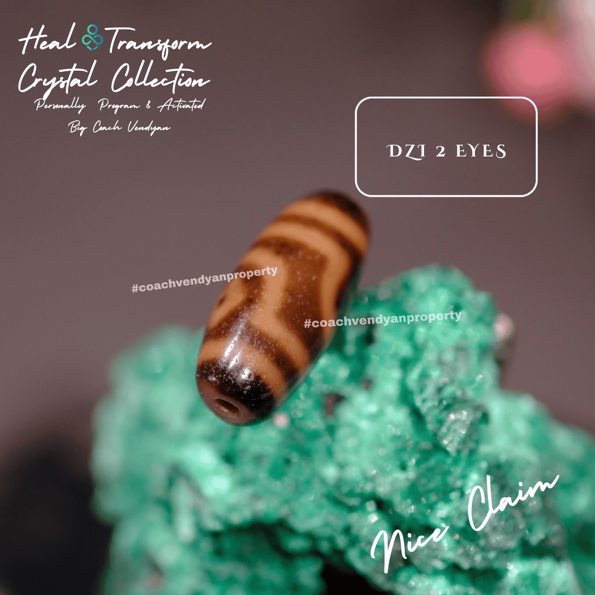 DZI 2 MATA - Gambar 3