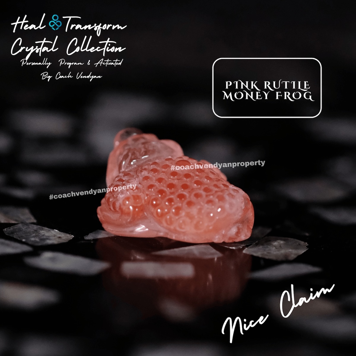PINK RUTILE MONEY FROG - Gambar 4
