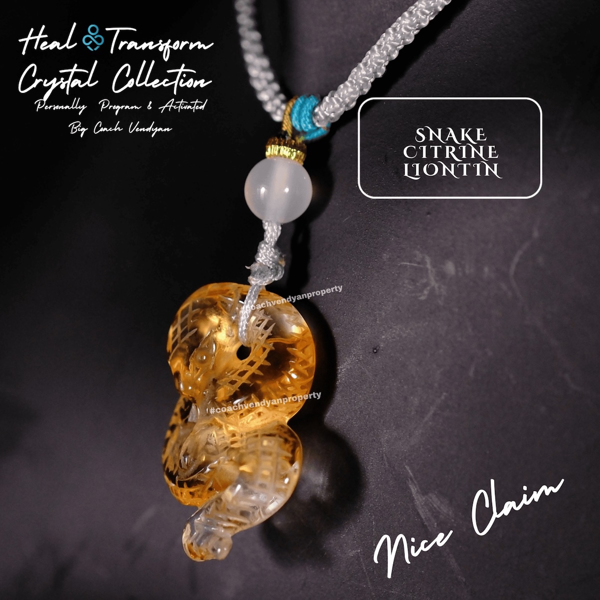 SNAKE CITRINE - Gambar 2