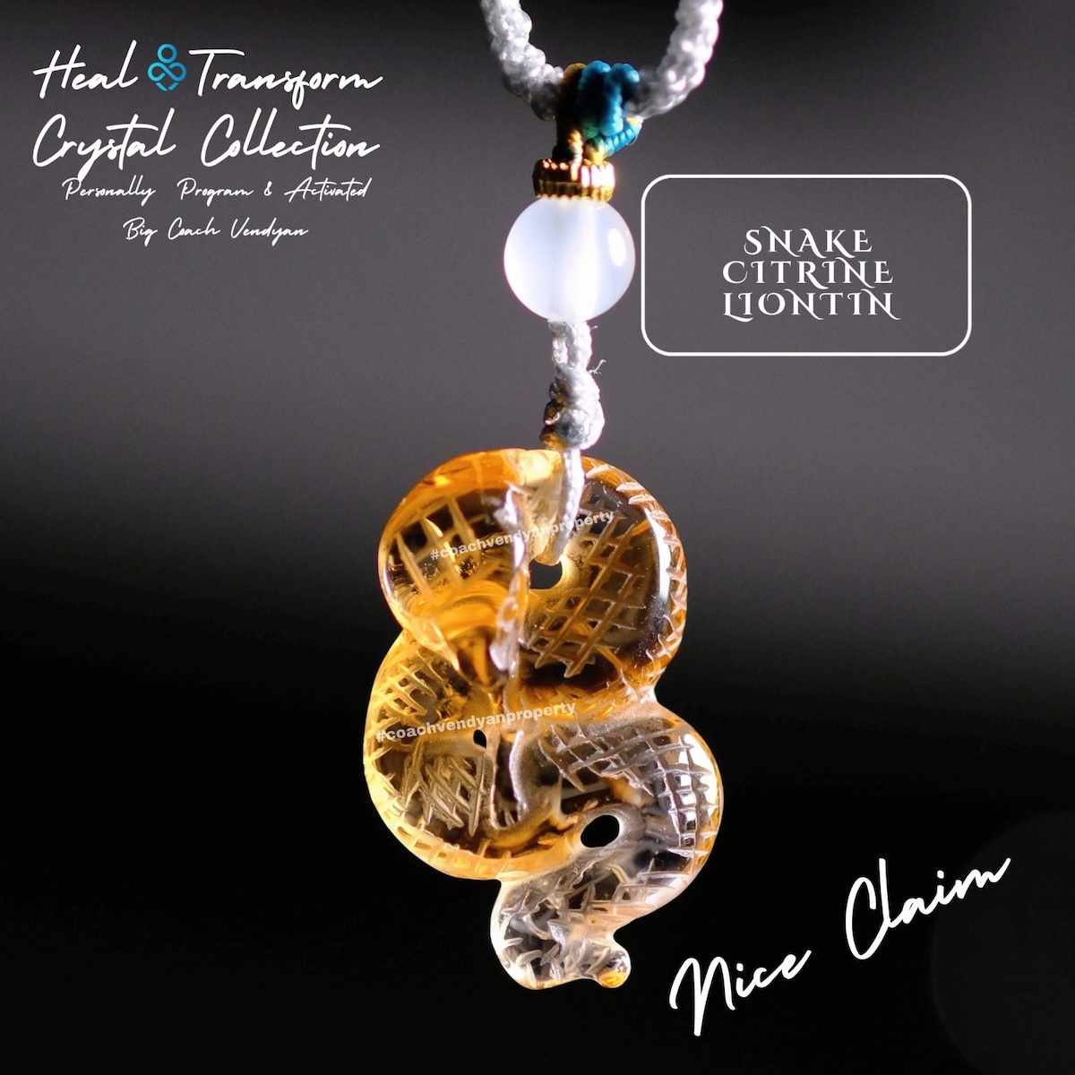 SNAKE CITRINE - Gambar 3