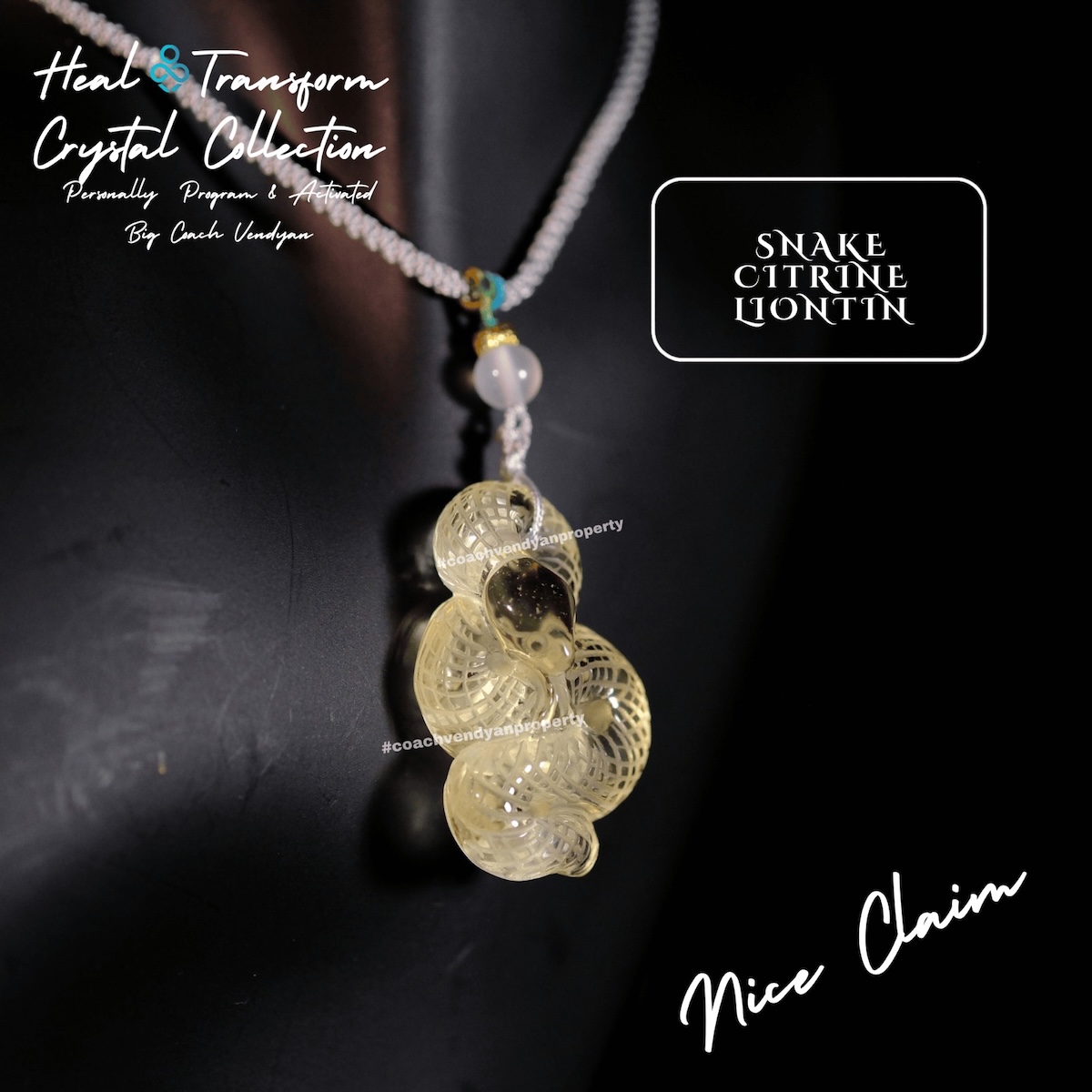 SNAKE CITRINE - Gambar 2